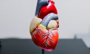 Study decodes who actually needs statin medication to lower cholesterol