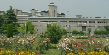 SKIMS
