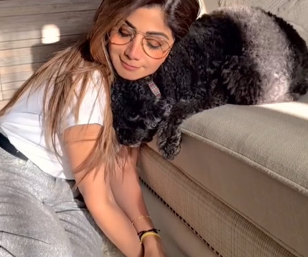 Shilpa Shetty showers love on her furry baby Truffle