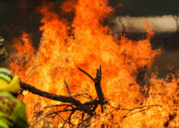 Australia: Out-of-control bushfire triggers evacuation order in Perth