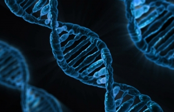 DNA sequencing may become prime target for hackers, warns study