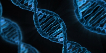 DNA sequencing may become prime target for hackers, warns study