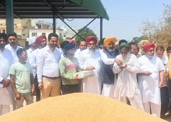 Finance Minister Harpal Singh Cheema Kick Starts Wheat Procurement at Dirba Grain Market