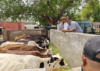 MC Commissioner visits Animal Shelters; Calls for better infrastructure and medical aid