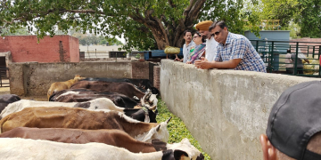 MC Commissioner visits Animal Shelters; Calls for better infrastructure and medical aid