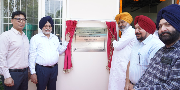 Big Push for Farmers: ₹40 Crore Grant to PAU, Harpal Cheema Launches Food Processing Complex