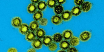 US launches next-generation universal vaccine platform for pandemic-prone viruses