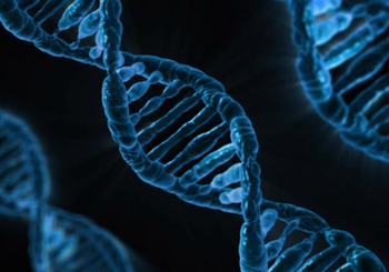 New AI breakthrough to revolutionise diagnosis, treatment of genetic diseases