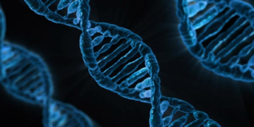 New AI breakthrough to revolutionise diagnosis, treatment of genetic diseases
