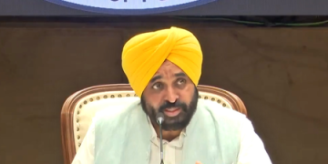 Punjab Cabinet decides to deploy nine anti-drone systems along Pakistan border