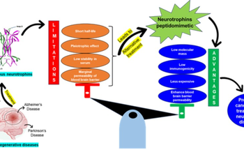 Indian scientists find drugs with potential to treat neurodegenerative disorders