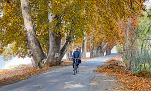 Daylight can boost immune system’s ability to ward off infections: Study