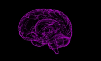 Study finds common gene variant that doubles dementia risk for men