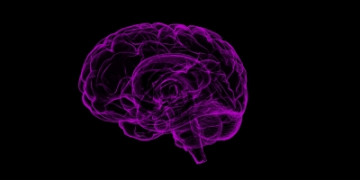Study finds common gene variant that doubles dementia risk for men