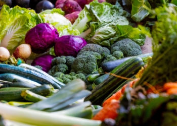 Eating a healthy diet in childhood can delay menstrual onset in girls: Study