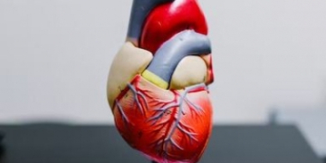 This cholesterol pill may fight high risk of heart attack, stroke: Study