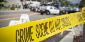 Two Israeli Embassy employees shot dead in Washington
