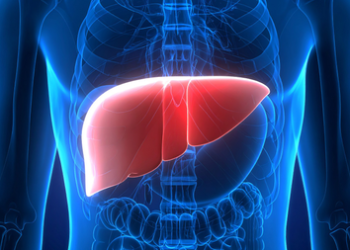 Study shows how plastic particles in food, beverages can harm your liver