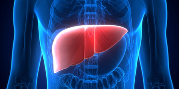 Study shows how plastic particles in food, beverages can harm your liver