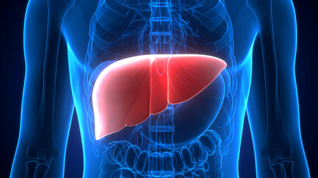 Study shows how plastic particles in food, beverages can harm your liver