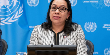 After seeing UNSC at work, Guyana ‘even more motivated to advocate’ for reform