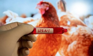 Cambodia records seventh human case of H5N1 bird flu in 2025