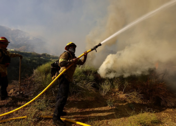 Two firefighters shot dead while battling wildfires in US’ Idaho