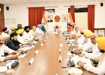 ANYONE WHO OPPOSES BJP IS BRANDED ANTI-NATIONAL NOWADAYS: CM