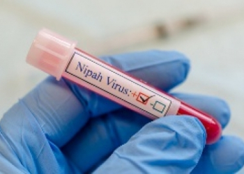 425 under surveillance as Kerala battles fresh Nipah virus outbreak