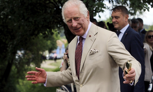 India men’s and women’s cricket teams meet King Charles III