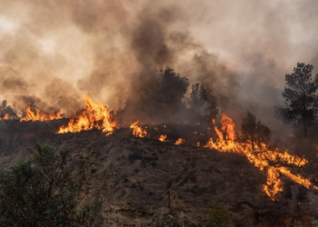Wildfire expected to increase in Canada