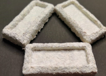 IIT Madras’ new agri-waste-based packaging material to help reduce plastic use