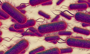 One dead, six hospitalized amid outbreak of Legionnaires’ disease in inner-Sydney