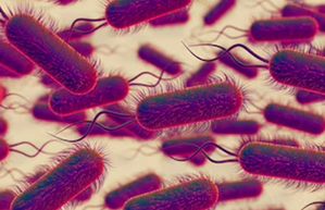 One dead, six hospitalized amid outbreak of Legionnaires’ disease in inner-Sydney