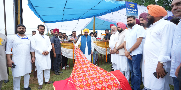 CM felicitated for Passing Law to Restart Bull Races in Punjab