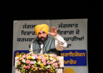 Punjab CM-Led Cabinet Approves Restructuring of Rural Development Blocks