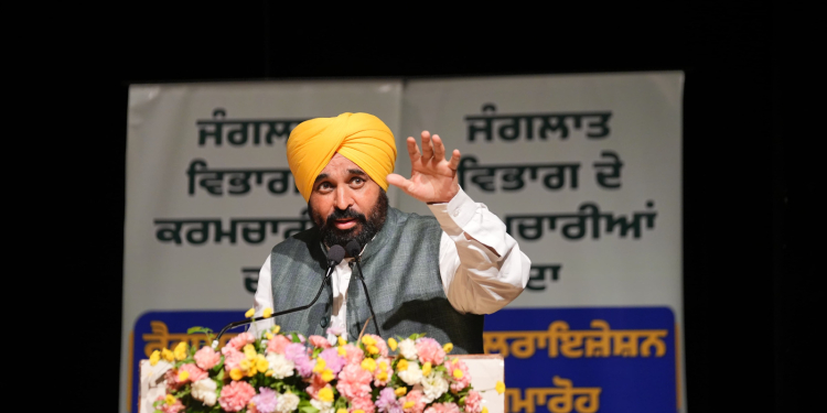 Punjab CM-Led Cabinet Approves Restructuring of Rural Development Blocks