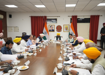 Punjab CM-Led Cabinet Approves Restructuring of Rural Development Blocks