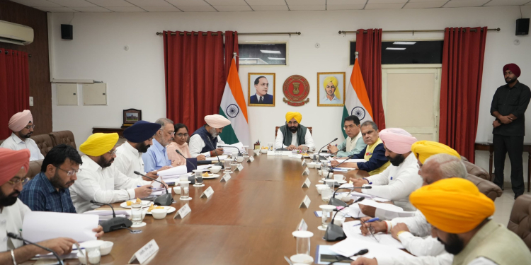 Punjab CM-Led Cabinet Approves Restructuring of Rural Development Blocks