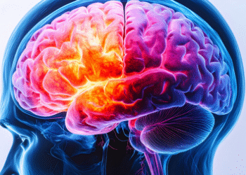 Study explores role of brain in treating type 1 diabetes