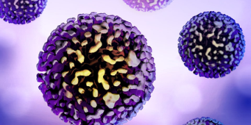 Czech Republic reports sharp rise in hepatitis-A cases