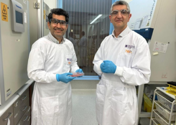 Australian scientists grow world’s 1st living skin with blood supply in lab