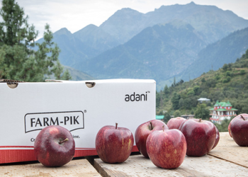 Adani Agri Fresh begins apple procurement at Rs 85 per kg in Himachal Pradesh