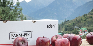 Adani Agri Fresh begins apple procurement at Rs 85 per kg in Himachal Pradesh