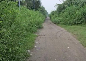 Delhi Police nab two US-based Harry Boxer gang members