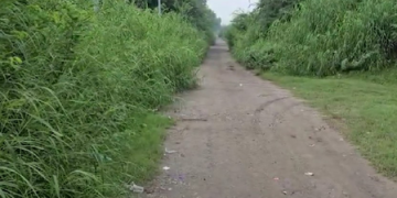 Delhi Police nab two US-based Harry Boxer gang members