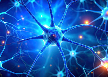 Overworked brain cells may burn out in Parkinson’s disease: Study