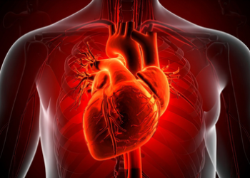 Study shows bacterial infections trigger heart attacks