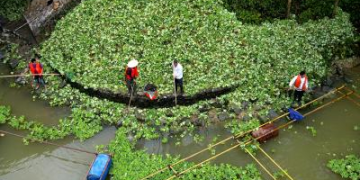 Kerala‘s Malappuram panchayats step up preventive measures against rat fever