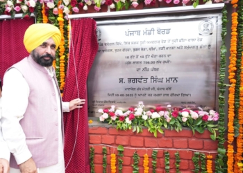 FOLLOWING THE FOOTSTEPS OF GREAT MARTYRS TO SERVE PUNJAB AND PUNJABIS: ASSERTS CM